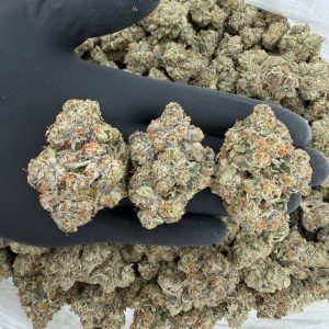 Rapper Weed: Formula 1 🏁🔥 Our Highest Quality Flower  Nose: 10/10 — Sweet Diesel 🤤