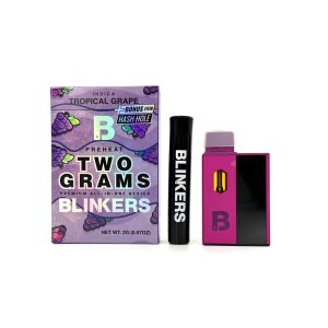 💨 Blinkers – 2g Premium Disposable + Hash Hole  Preheat Function | Sleek Design | High-Potency Formula