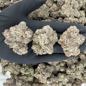 🎤 Rapper Weed – LA Cherries  Our highest quality weed  Nose: 10/10 🔥 Sweet Diesel 🤤