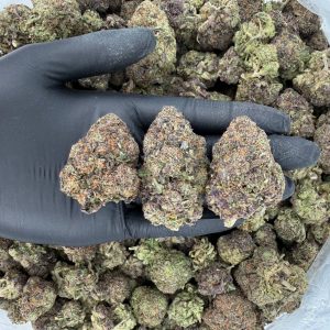 🥇🍇 Gold Tier — Killer Grape  👃 Nose: 8/10 🔥 Earthy Fruit 😶‍🌫️