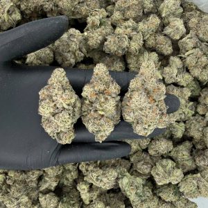 💎 ZaZa Tier: 98K  Nose: 10/10 🔥 Spicy Citrusy 😝