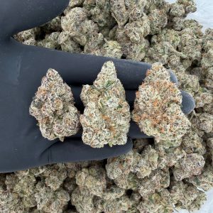 🔥 Platinum Tier: Adios MF  Nose: 10/10 🔥 Sweet Skunk 😶‍🌫️