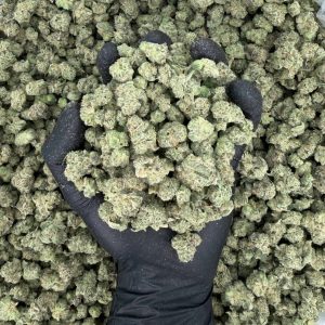 🌊 Exotic Smalls: Animal Tsunami  Nose: 8/10 🔥 Sugary Sweets 🤤