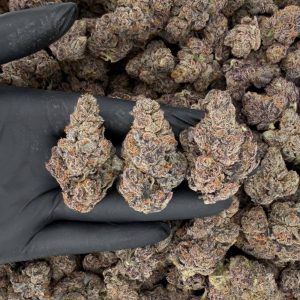 🔥 Exotic Tier: Blue Starburst  Nose: 9/10 🔥 Sweet Spicy 😝