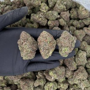 💛 Gold Tier: Bubblegum  Nose: 8/10 🔥 Sweet Kush 😙