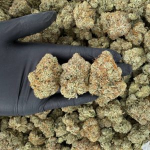 💎 Exotic Tier: Gorilla Glue 💎  Nose: 9/10 🔥 Sour Diesel 😝