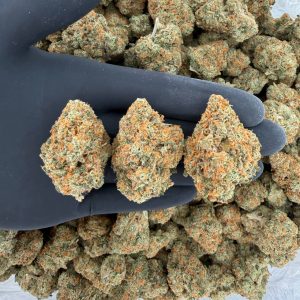 🔥 Platinum Tier: Green Crack  Nose: 10/10 🔥 Sweet Citrus 😵‍💫