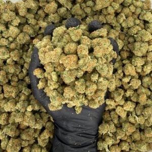 🌿 Exotic Smalls: Green Crack  Nose: 8/10 🔥 Sweet Citrus 🤤