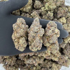 🔥 Exotic Tier: Hash Burger  Nose: 9/10 🔥 Sweet Woody Pine 🤩