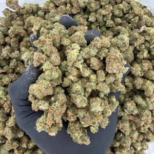 🔥 ZaZa Smalls Tier: Jack Herer Smalls  Nose: 9/10 🔥 Lemony Pine 😇