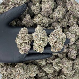 🔥 ZaZa Tier: Knockout  Nose: 10/10 🔥 Sweet Diesel 😲