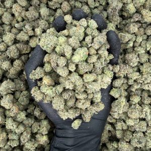 🍪 Exotic Smalls: Original Cookies  Nose: 8/10 🔥 Earthy Lemon 🌱