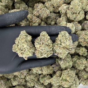 💎 Platinum Tier: Tahoe OG  Nose: 10/10 🔥 Pungent • Lemon 😋