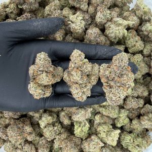 🔥  🌋 Exotic Tier: Turtle Pie  Nose: 9/10 🔥 Creamy Sweet 😇