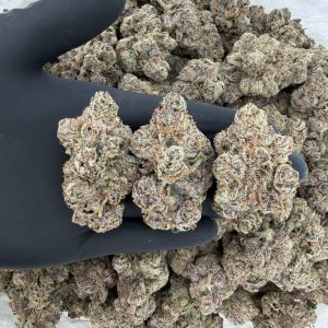 ZaZa Tier: Crunch Berries 🍇🔥  Nose: 10/10 🔥 Piney Fruit 😶‍🌫️