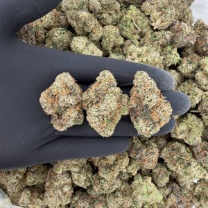 Platinum Tier: Curelato 🍦✨  Nose: 10/10 🔥 Creamy Sweet 😇