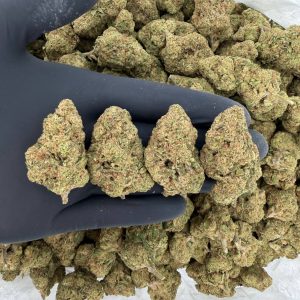 Solar Skunk Tier: Grape Gas 🍇⛽  Nose: 7/10 🔥 Sour Diesel 🤤