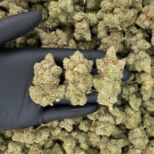 Silver Tier: Larry Bird Kush 🌲✨  Nose: 8/10 🔥 Minty Pine 😇