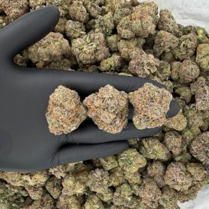 Gold Tier: Mochi 🍪✨  Nose: 8/10 🔥 Fruity Mint 😝